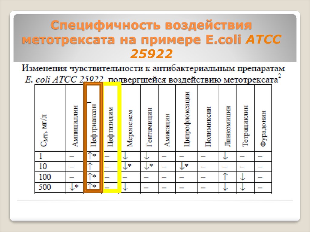 Специфичность воздействия метотрексата на примере E.coli ATCC 25922