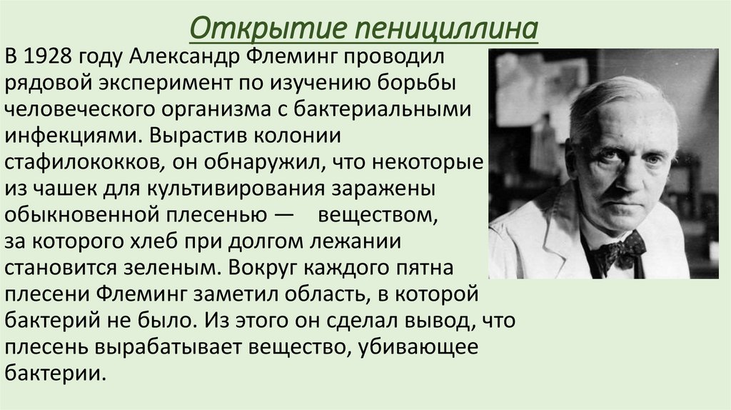 Важность пенициллина