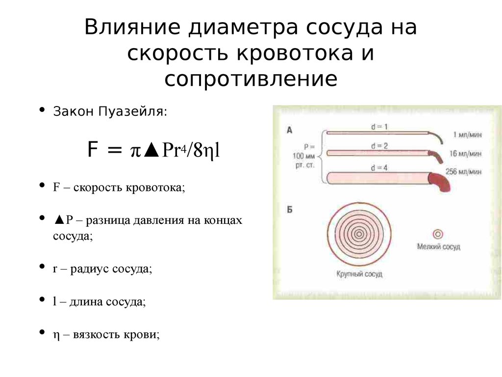 Скорость сосудов. Сопротивление сосудов и давление. Вязкость крови диаметр сосуда. Диаметр сосудов. Диаметр сосудов скорость.