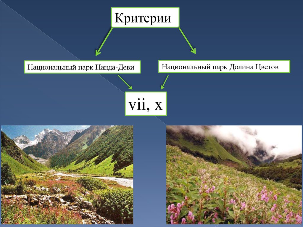 Размер критерия. Критерии национальных парков. Нанда Деви национальный парк карта. Критерии национального парка. Национальный критерий.