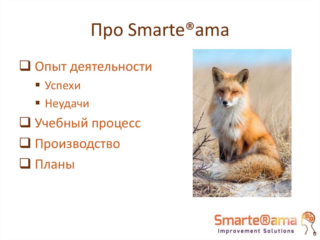 Про Smarte®ama