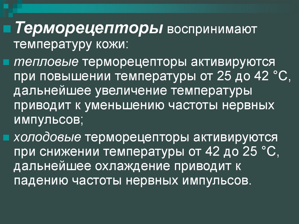 Повышение температуры приводит. Терморецепторы. Температурные рецепторы. Терморецепторы физиология. Тепловые терморецепторы кожи.