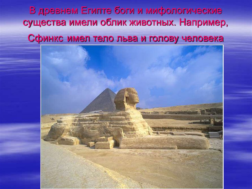 Тело льва и голова. Тело Льва голова человека в Египте. Сфинкс тело Льва голова человека. Лев с телом человека Египет. Сфинкс животное с телом Льва.