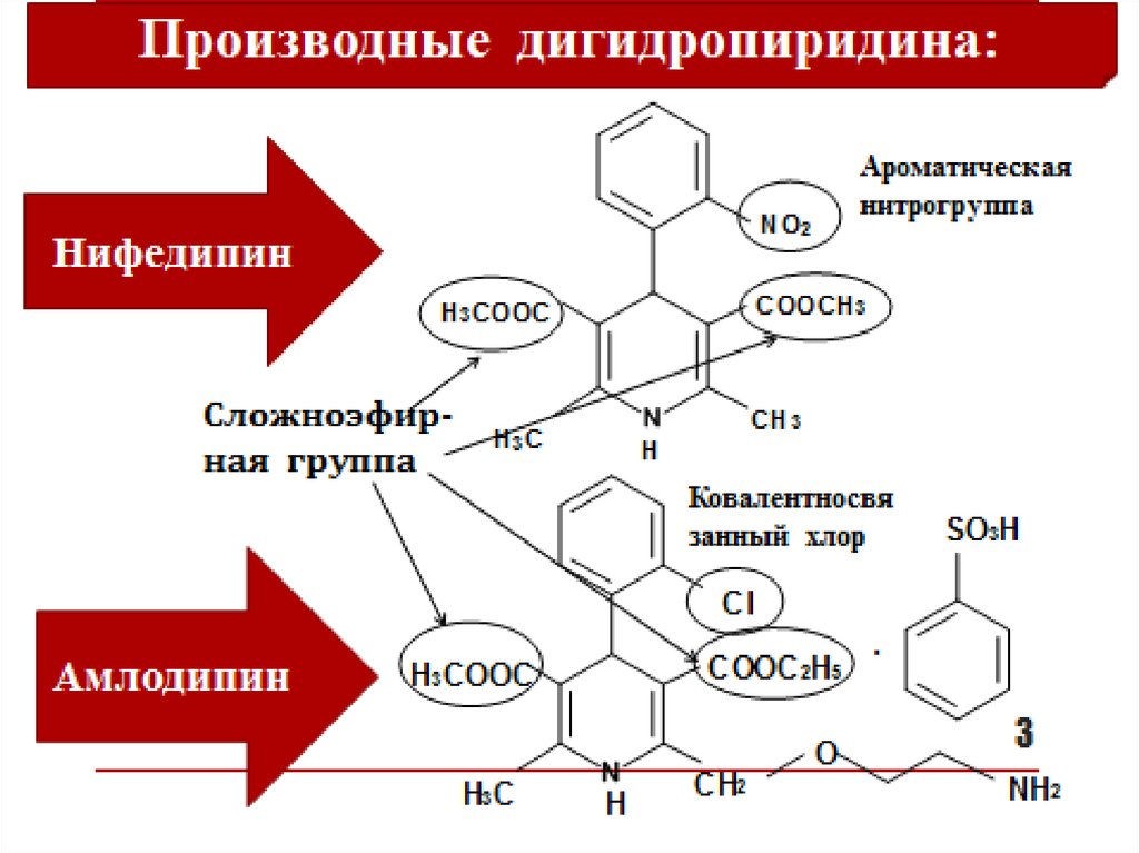 Производные дигидропиридина (нефидипин, амлодипин, форидон) и пиридина .