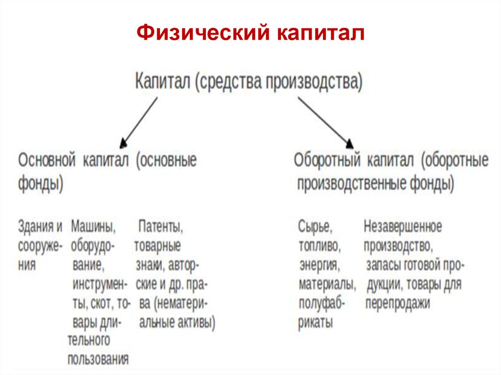 Физический капитал