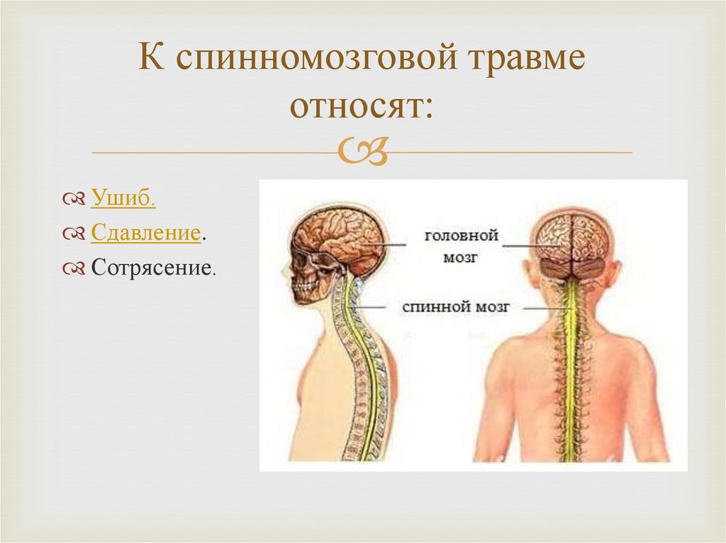 Реферат: Травма позвоночника, спинного и головного мозга