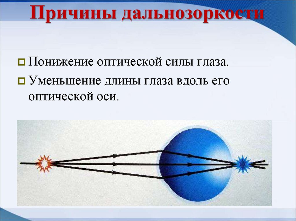 Глаз как оптическая система презентация по физике 11 класс