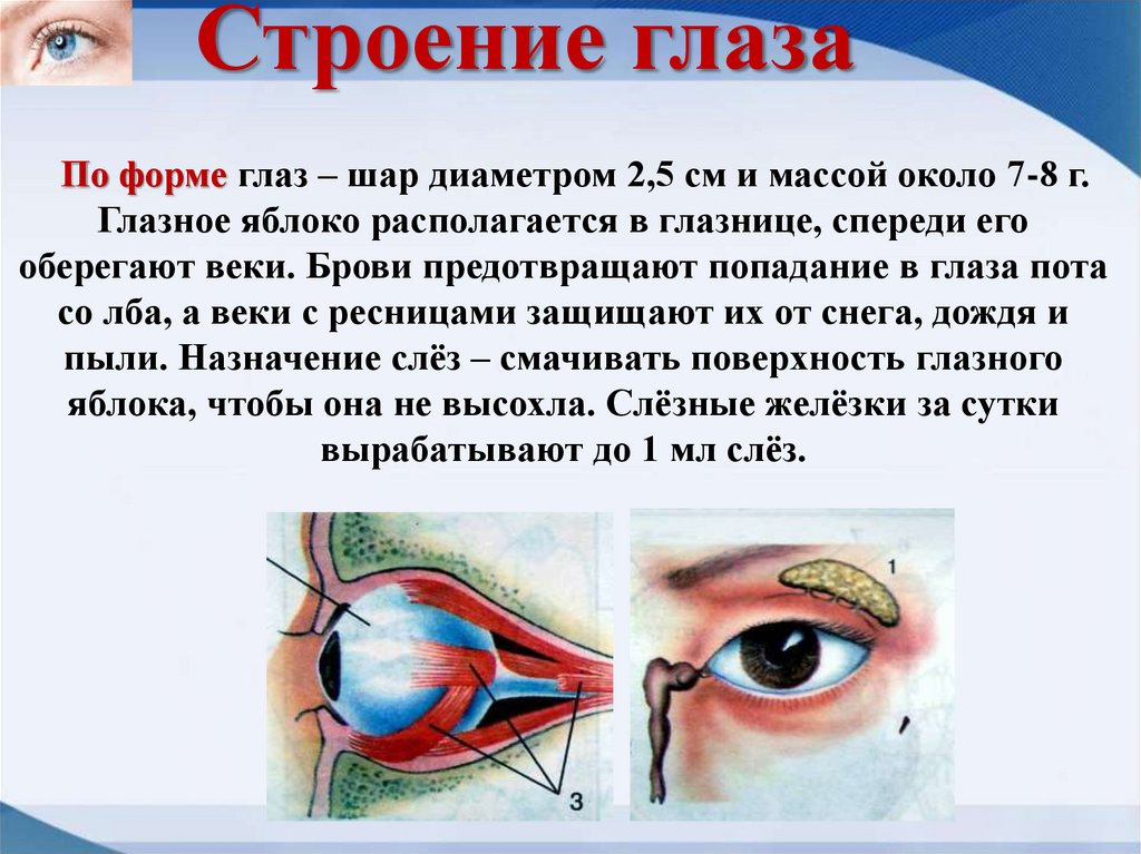 Дефекты оптической системы глаза