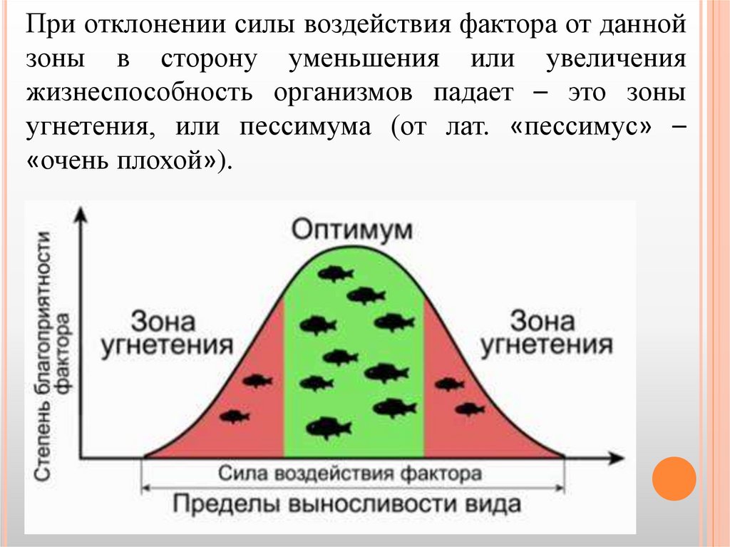 Презентация по биологии 9 класс интенсивность действия факторов среды