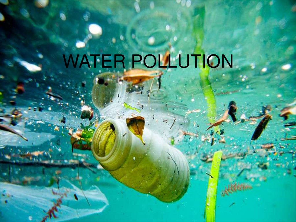 prepare your presentation on water pollution