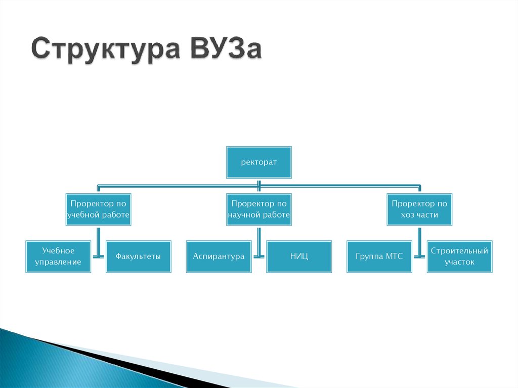 Структура университета