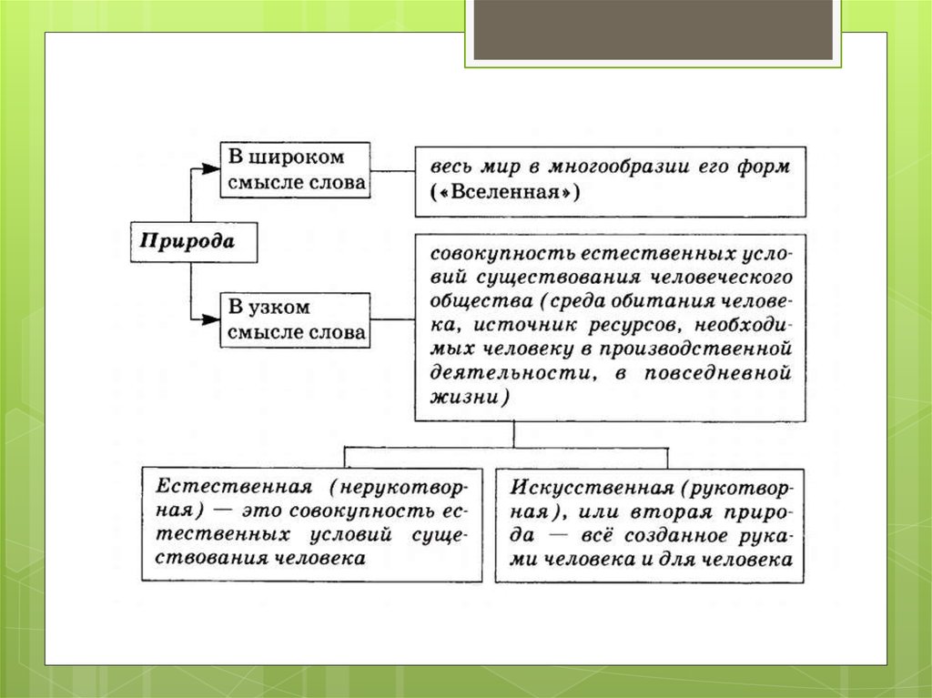 Взаимодействие общества и природы проект 9 класс обществознание