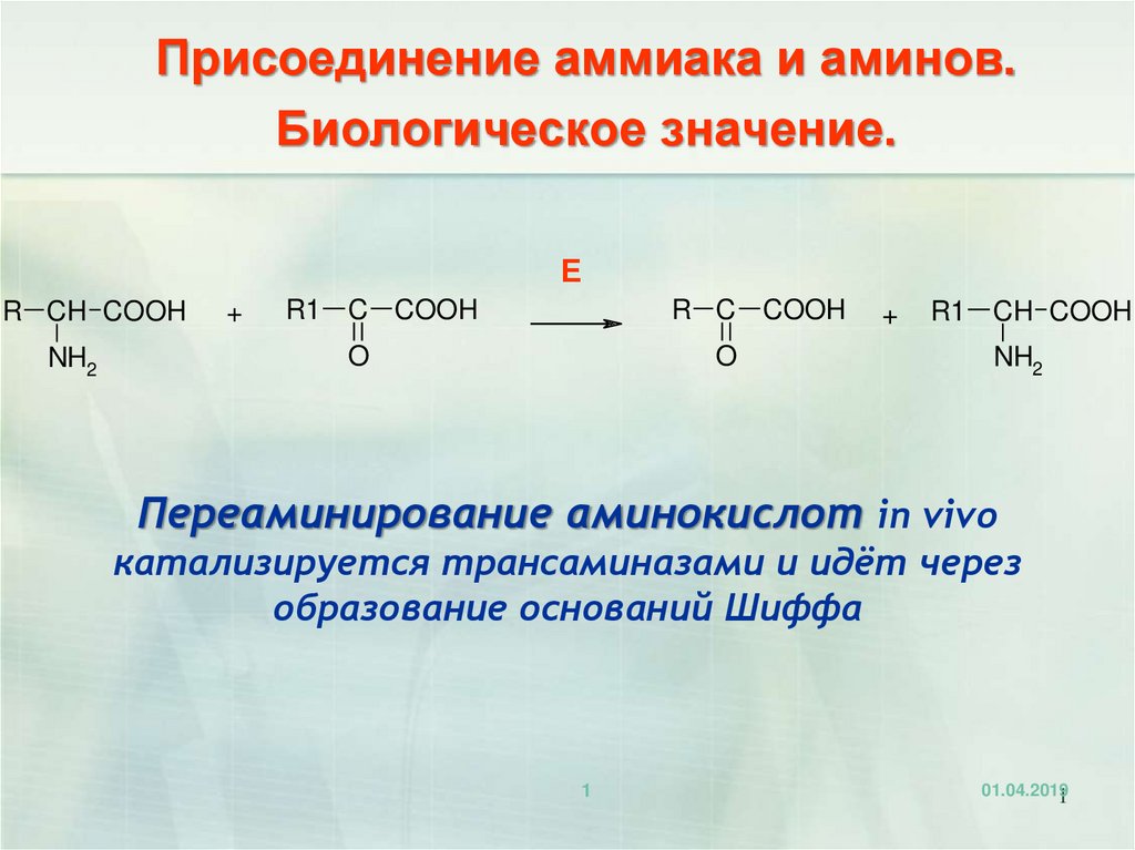 Получение аминов презентация