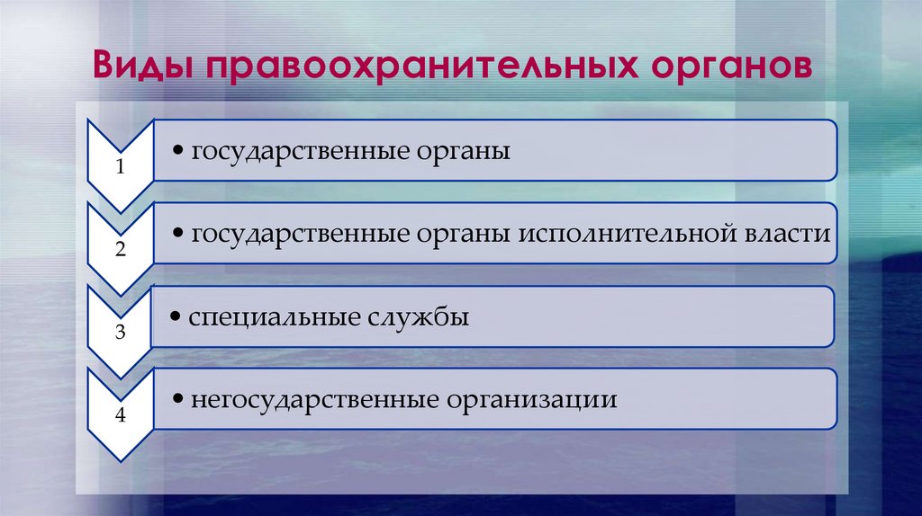 Виды правоохранительных органов