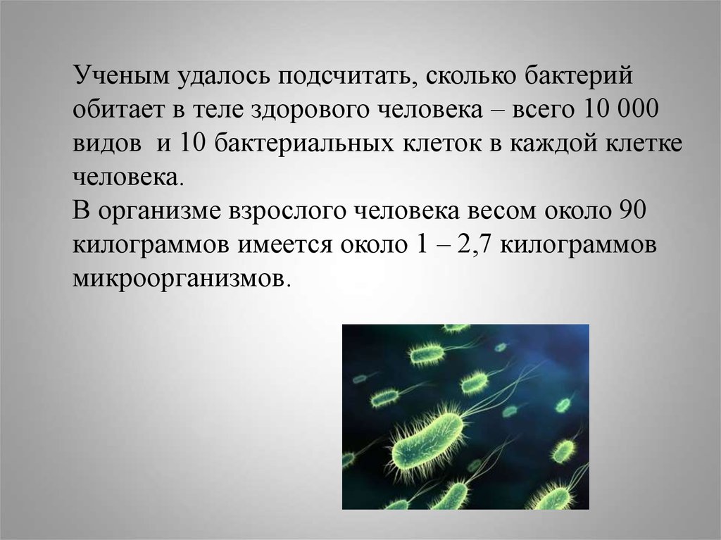 Сколько микробов. Количество бактерий в организме человека. Сколько видов бактерий в организме человека. Микроорганизмы обитающие в организме человека. Сколько клеток в организме бактерии?.