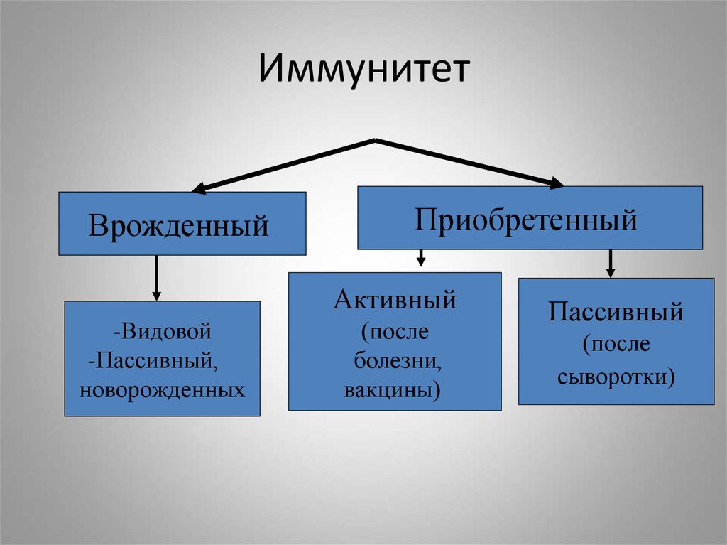 Приобретенный активный. Врожденный иммунитет и приобретенный иммунитет. Активный пассивный врожденный иммунитет. Активный приобретенный иммунитет. Приобретенный врожденный иммунитет врожденный.