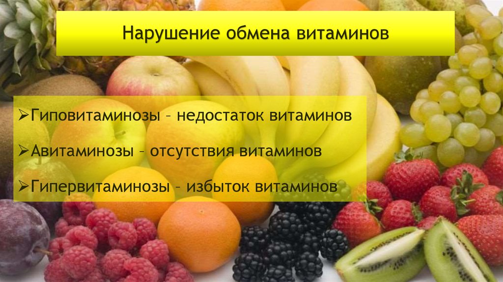 Обмен витаминов