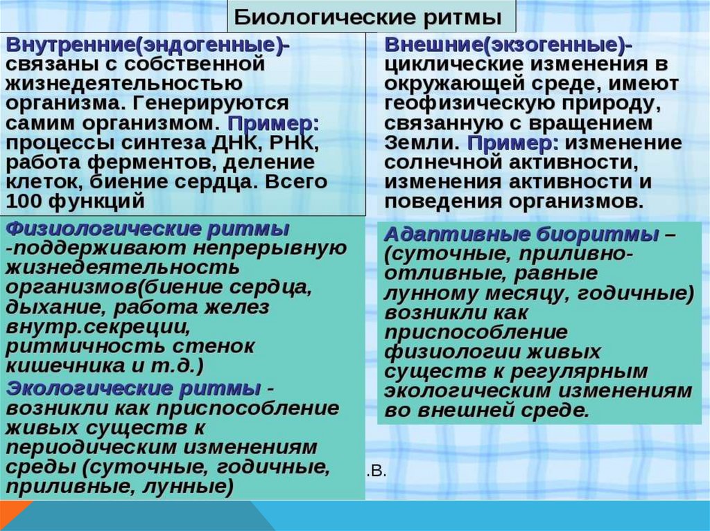 Экзогенные и эндогенные процессы регуляции биологических ритмов презентация