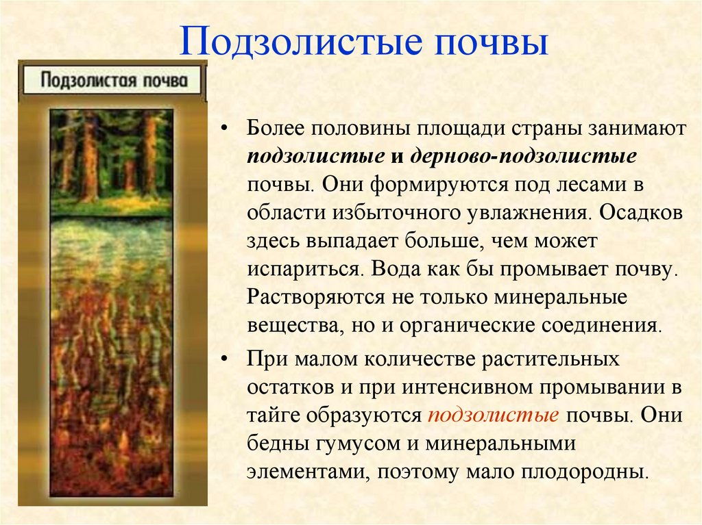 Какие почвы формируются под хвойными лесами. Дерново-подзолистые, торфяно-подзолисто-глеевые, болотные почвы.. Природная зона дерново-подзолистой почвы таблица. Дерново-подзолистые почвы природная таблица. Дерново-подзолистые почвы увлажнение.