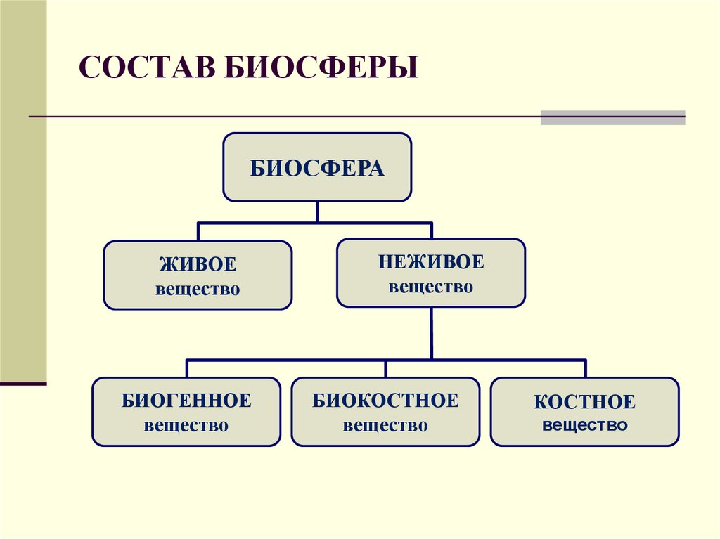 Схема вещества биосферы. Схема состава веществ биосферы. Общая структура биосферы. Структурные части биосферы. Состав компонентов биосферы.