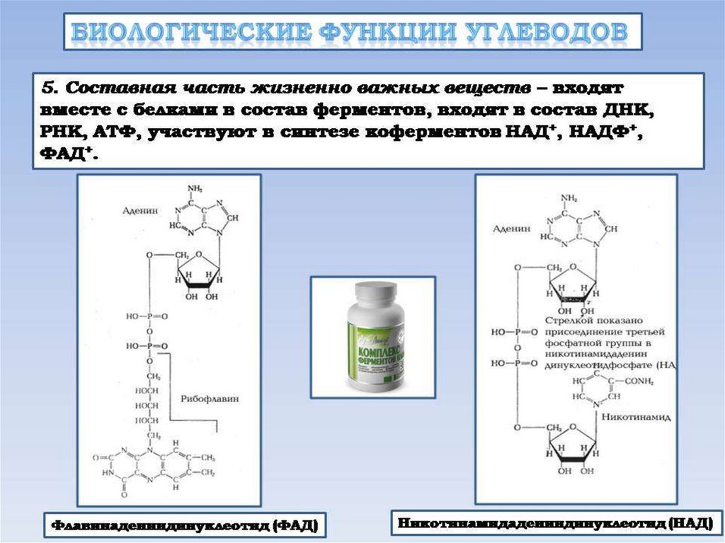 Углеводы презентация 10