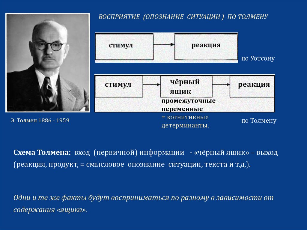 Скиннер вклад