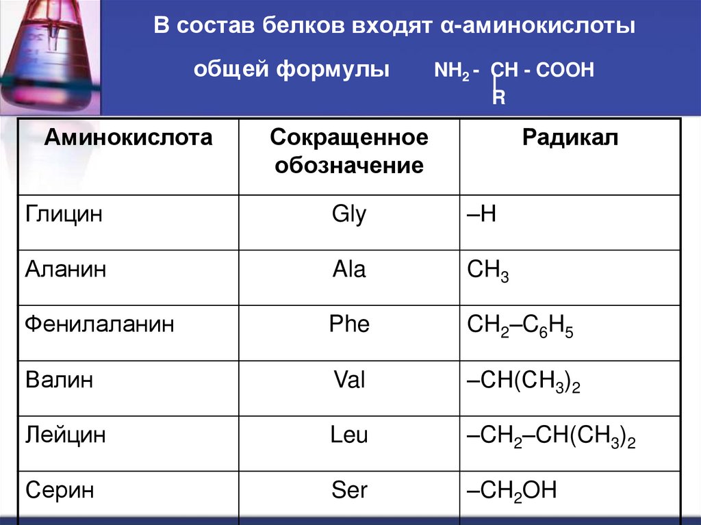 В состав белков входят α-аминокислоты общей формулы NH2 - CH - COOH R