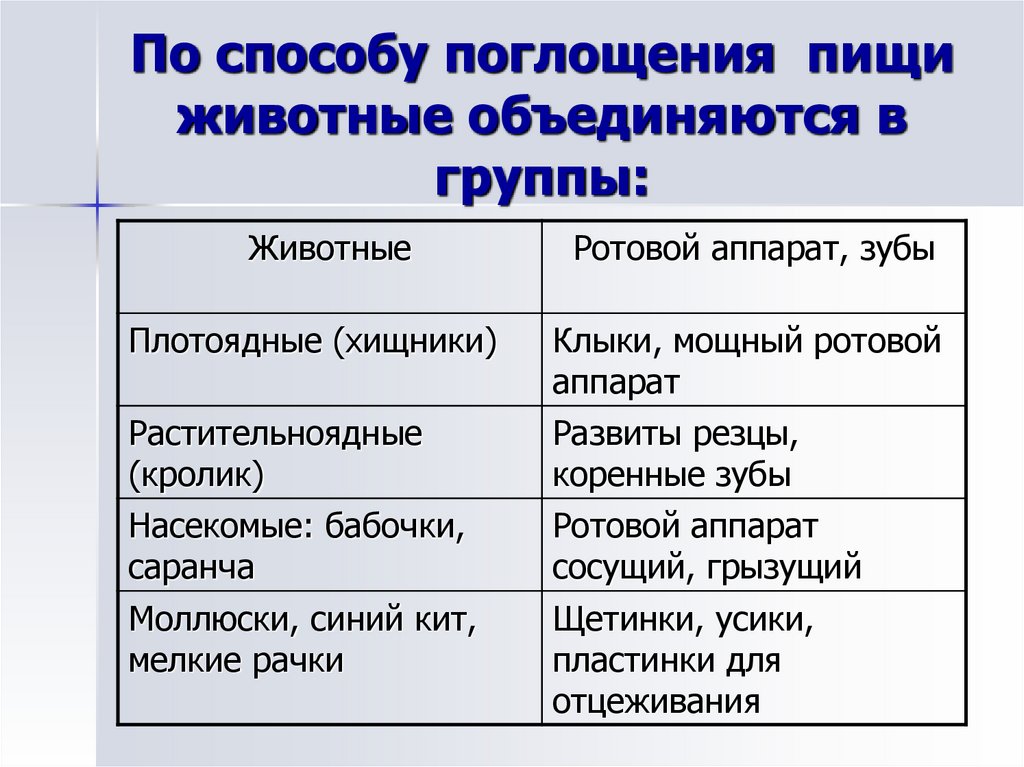 Разнообразие пищи и способов питания животных презентация 7 класс