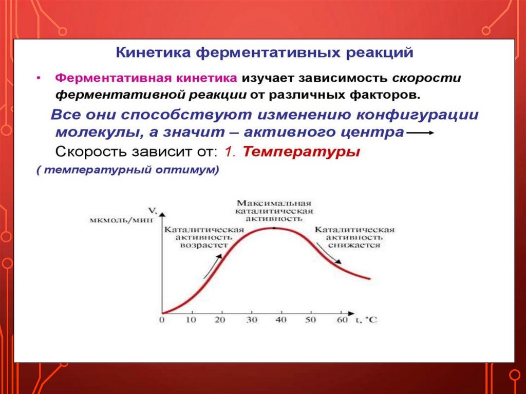 Схема ферментативной реакции