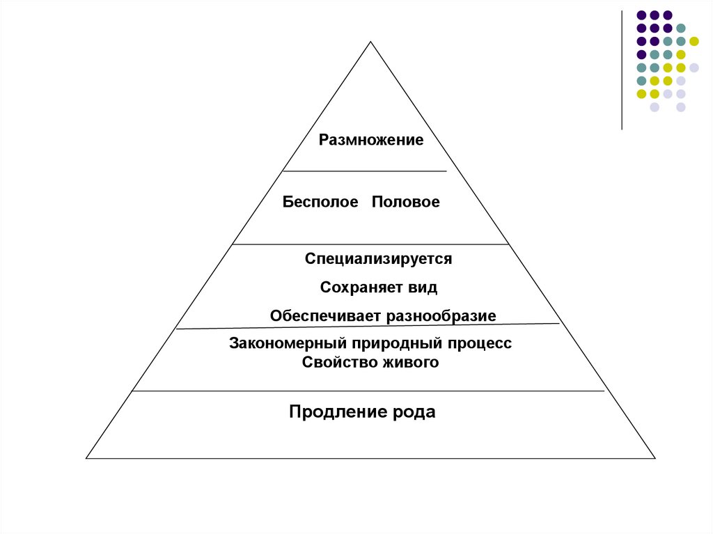 Продление рода органы размножения презентация