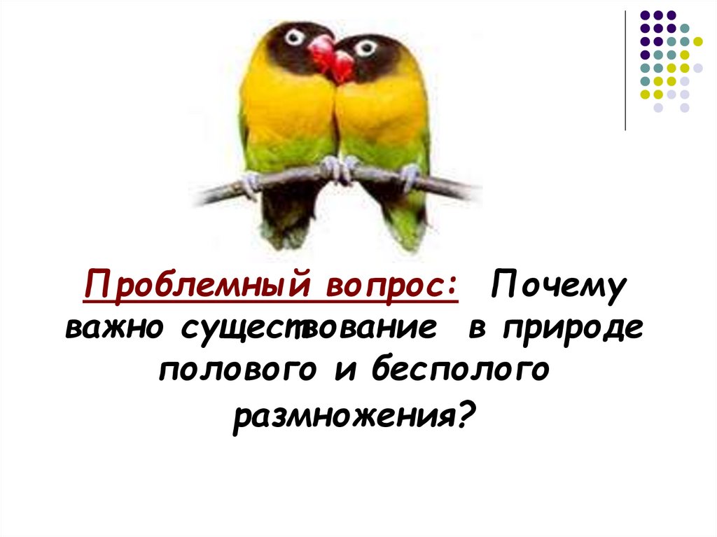 Продление рода органы размножения биология 7 класс презентация