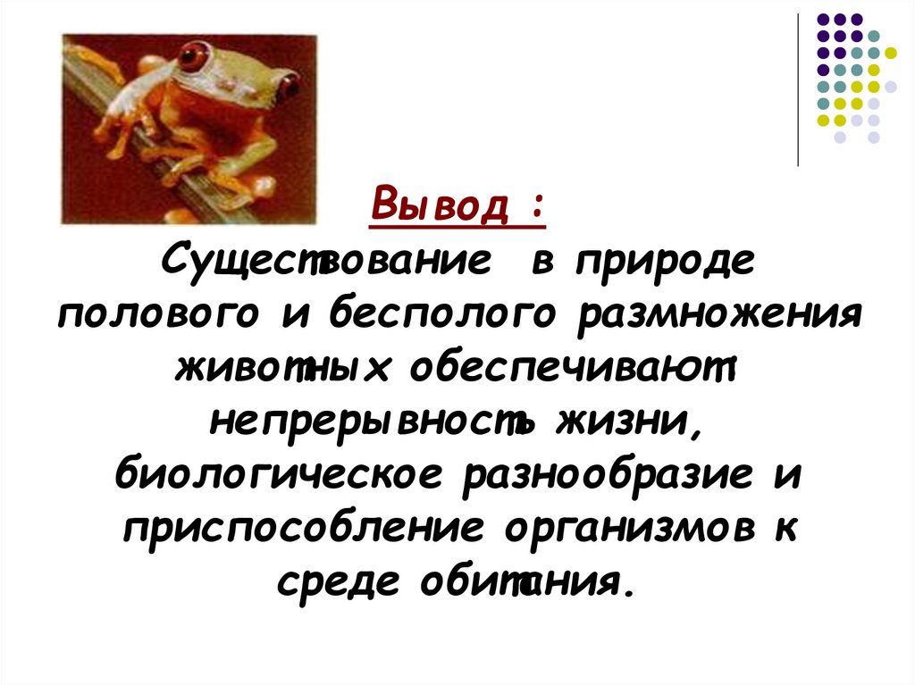 Презентация по биологии 6 класс на тему половое размножение животных