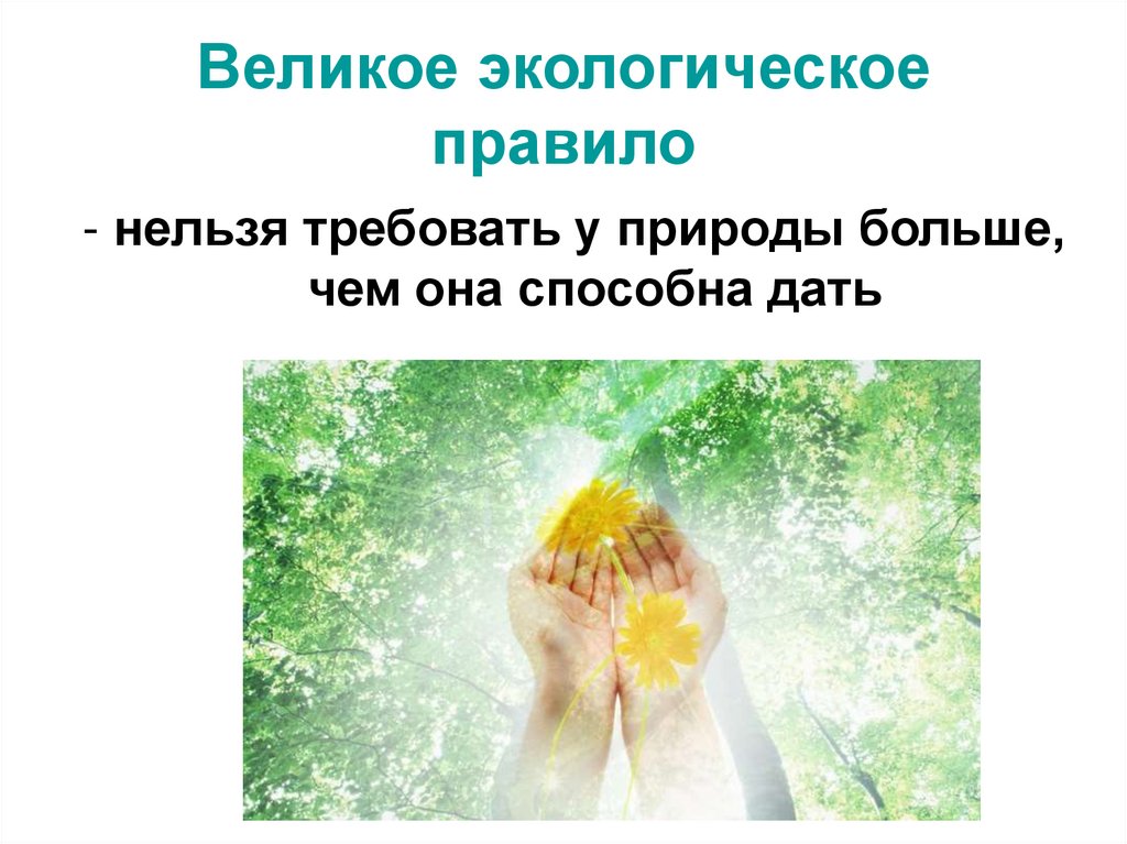 Влияние человека на природу биология 5 класс. Презентация на тему воздействие человека на природу. Презентация на тему влияние человека на природу. Великое экологическое правило. Воздействие человека на природу 7 класс.