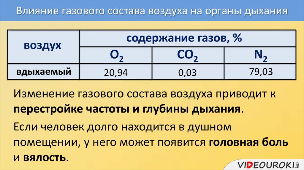 Влияние газов. Изменение газового состава. Изменение газового состава воздуха. Изменение состава воздуха при дыхании. Состав воздуха при выдохе.