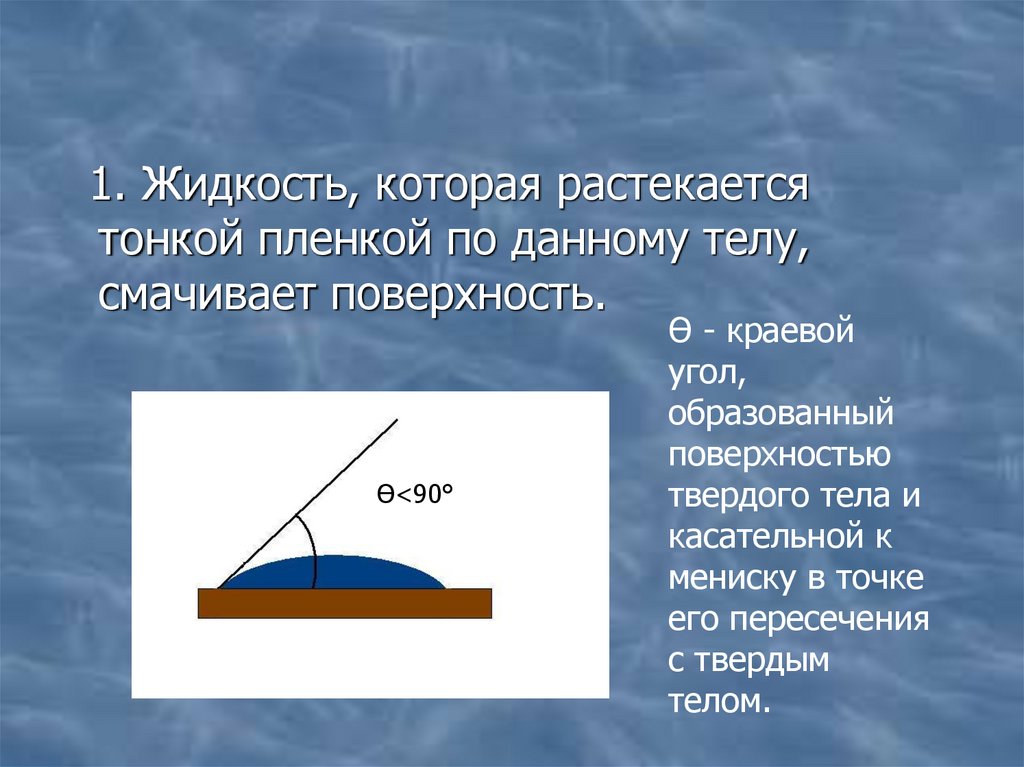 Капиллярные явления в природе презентация