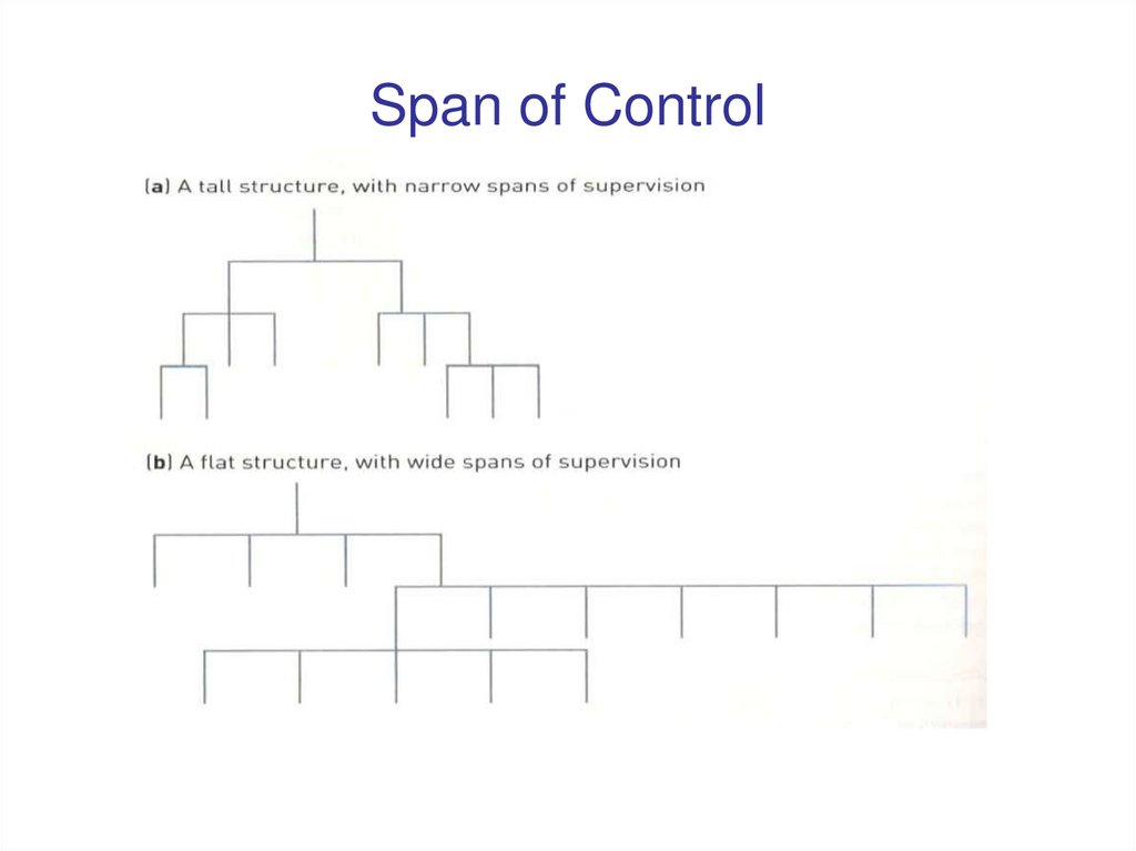 Span of Control