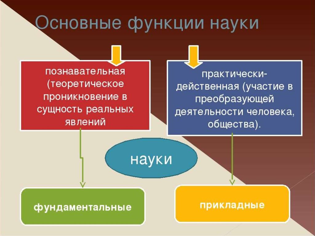 Наука образование общество. Функции науки Обществознание. Наука это в обществознании. Наука функции науки Обществознание. Тема для презентации наука.