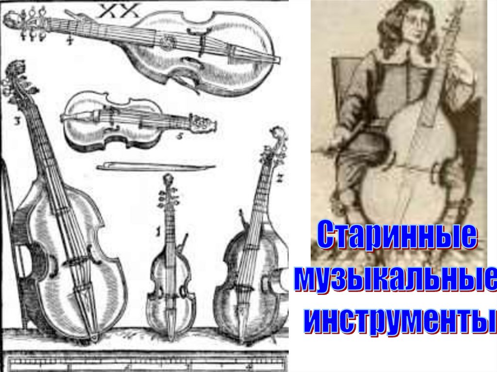 Скрипичные инструменты Возрождения. Сравнение размеров двойной виолончели, виолончели и скрипки.