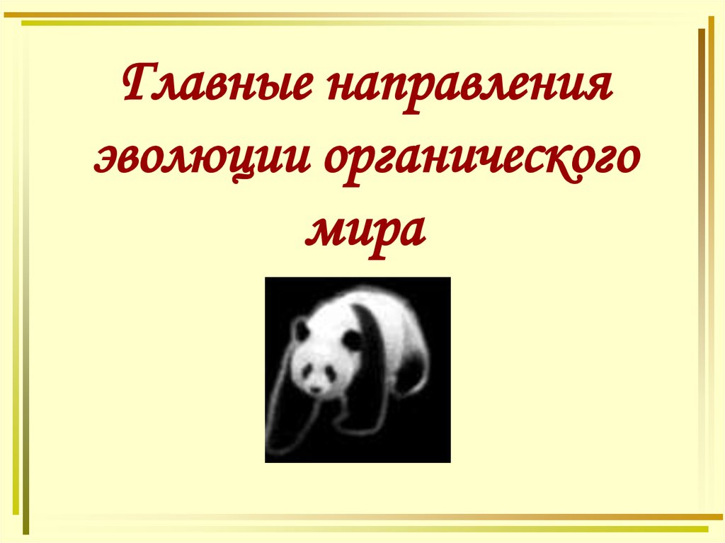 Результаты эволюции презентация 9 класс. Главные направления эволюции. Направления эволюции презентация 11 класс.