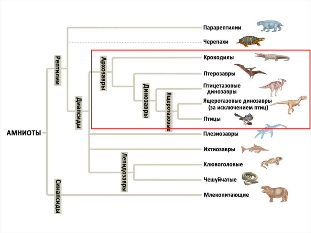 Классификация динозавров схема