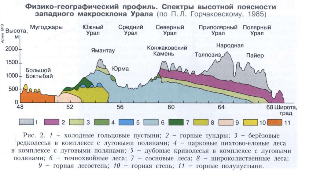 Схема природных комплексов урала