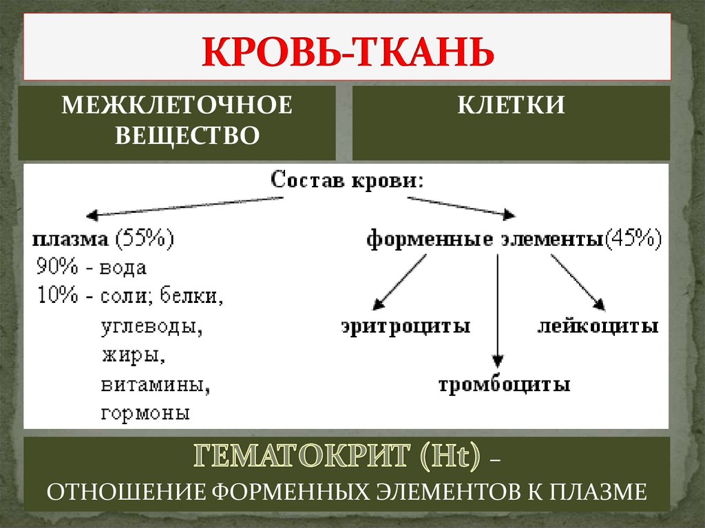 КРОВЬ-ТКАНЬ