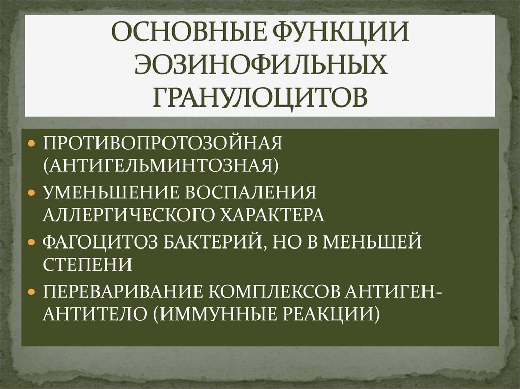 ОСНОВНЫЕ ФУНКЦИИ ЭОЗИНОФИЛЬНЫХ ГРАНУЛОЦИТОВ