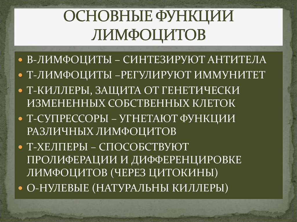 ОСНОВНЫЕ ФУНКЦИИ ЛИМФОЦИТОВ