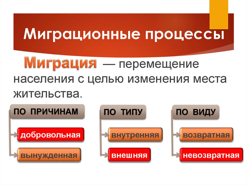 Проект миграционные процессы