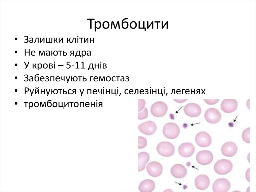 Тромбоцити