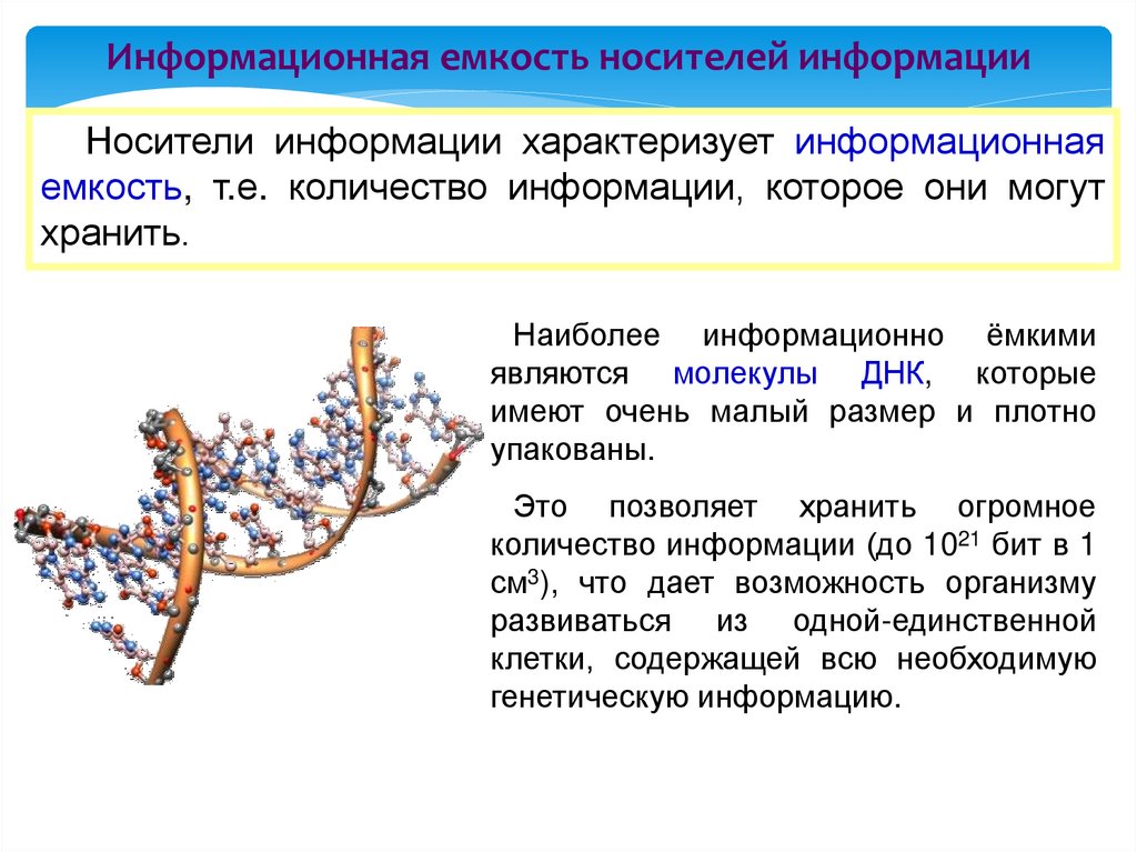 Наиболее информационно емкие