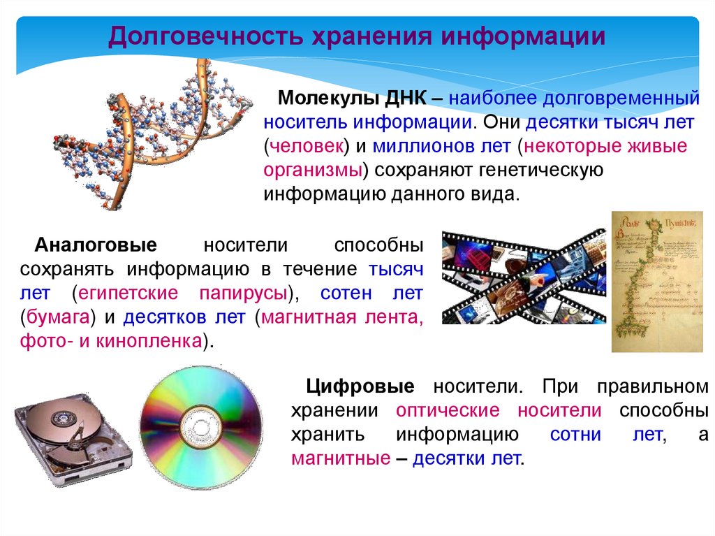 Хранение информации сайты. Хранение информации. Способы хранения информации. Носители информации. Средства хранения информации Информатика.