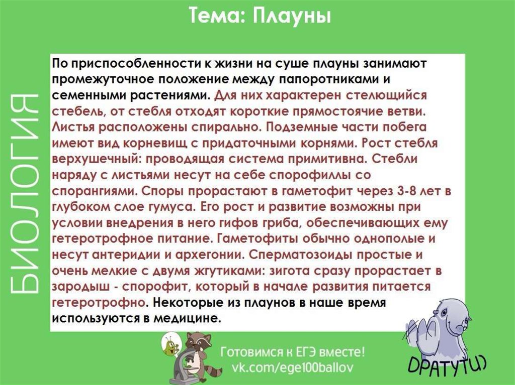 Вставьте в текст хвощи. План по социализации личности ЕГЭ. Социализация индивида понятие. План по социализации индивида ЕГЭ. Формирование характера в процессе социализации индивида.