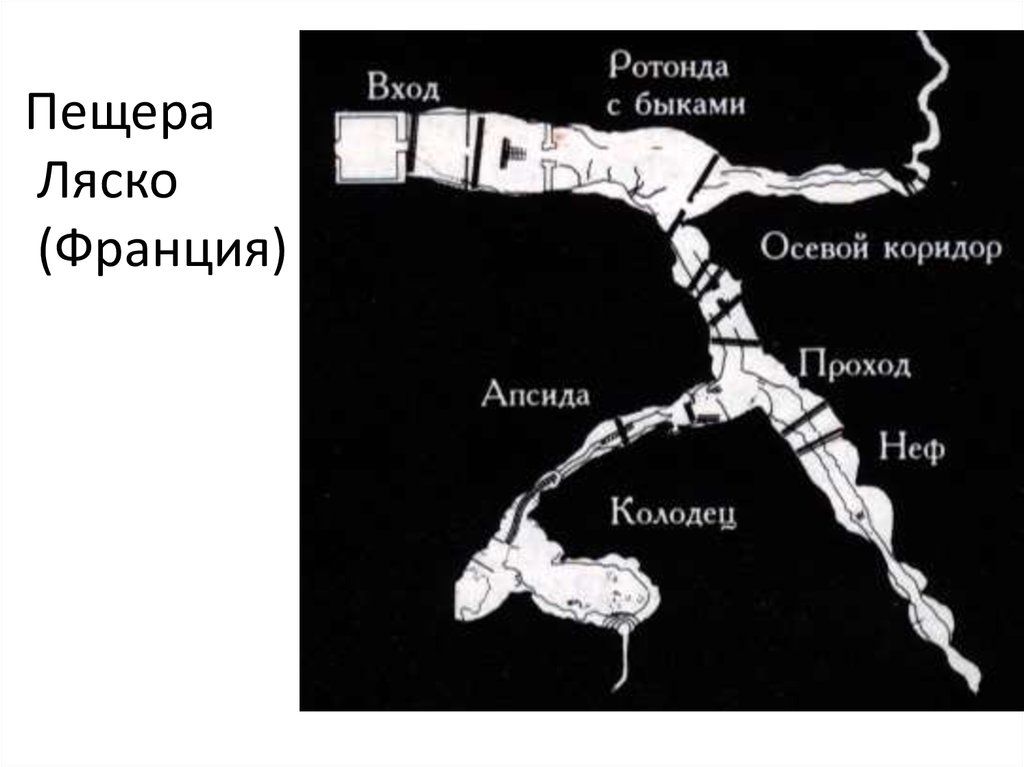 Карта пещеры ласко - 96 фото